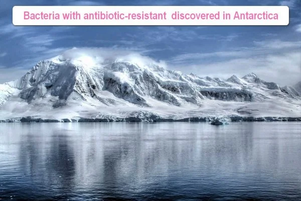 Bacteria with antibiotic-resistant genes discovered in Antarctica