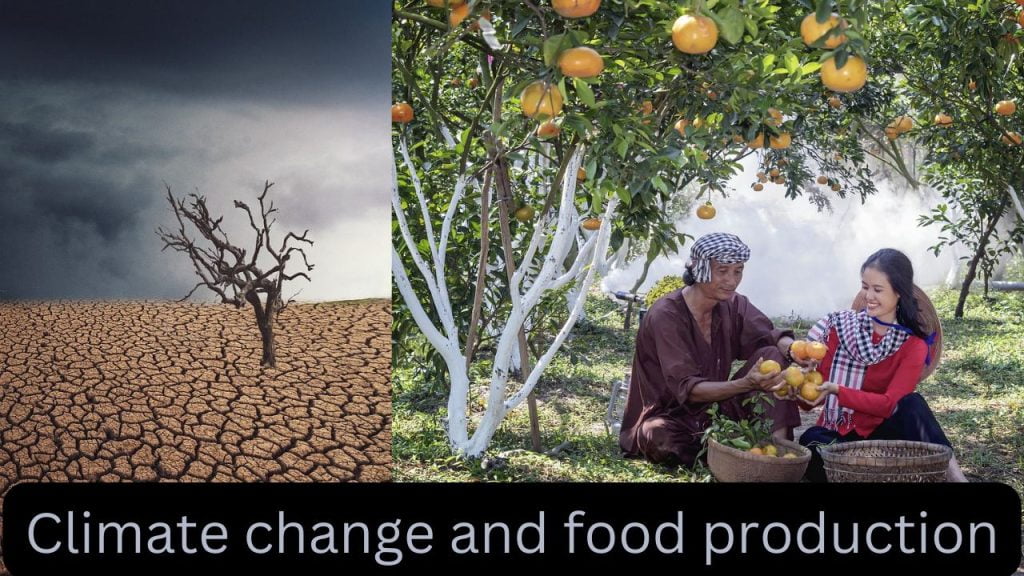 What are the steps we can take to ensure all people have access to safe, healthy food?